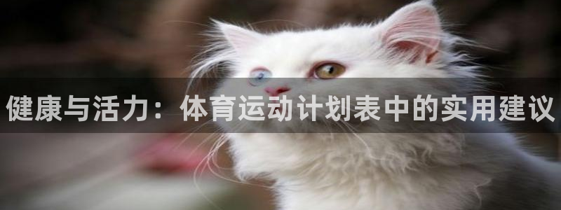 公海赌赌船官方正版app集团E.ON:健康与活力:体育运动计