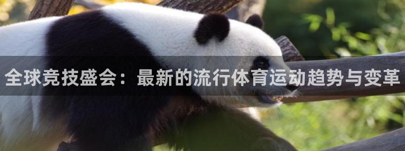 公海赌赌船官网下载注册:全球竞技盛会:最新的流行体育运动趋势