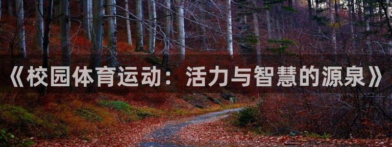 公海赌赌船官网下载招商电话地址是多少:《校园体育运动:活力与