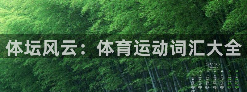 公海赌赌船官方正版app集团E.ON:体坛风云:体育运动词汇