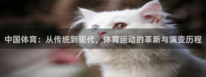公海赌赌船官网下载平台是正规平台吗知乎:中国体育:从传统到现